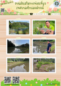 ประชาสัมพันธ์เปิดบ่อตกปลา หนองช้างคต บ้านใหม่ หมู่ที่ 8 ต.แม่กรณ์ อ.เมืองเชียงราย จ.เชียงราย