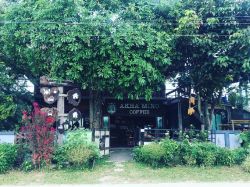 ร้าน Akha Mino Coffee บ้านเมืองรวง หมู่ที่ 5