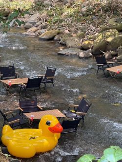 ม่อนแก้วฟาร์ม บ้านปางกอก หมู่9 