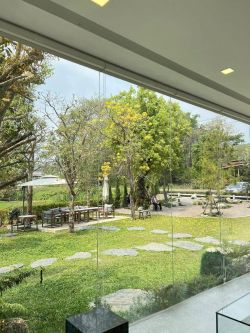 Taan forest คาเฟ่ริมน้ำกรณ์ที่สวยและบรรยากาศดีมากๆ