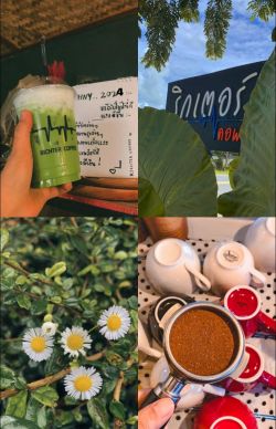 Richter Coffee (ริกเตอร์ คอฟฟี่)บ้านใหม่ หมู่8