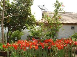 บ้านเคียงดาว ภูปลายฟ้า