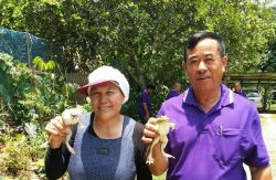 โฮมสเตย์โดยรวมบ้านเมืองรวง