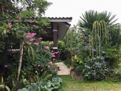 บ้านทักษิณ ฐานสมุนไพรสาวน้อยร้อยช่อง