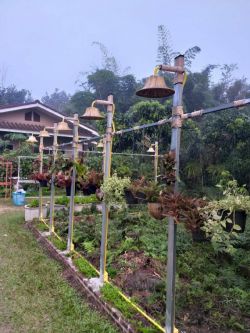 บ้านทักษิณ ฐานสมุนไพรสาวน้อยร้อยช่อง