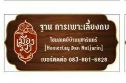 บ้านนุชจรินทร์ ฐานการเพาะเลี้ยงกบ